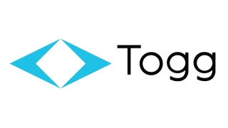 A Deep Dive into TOGG's Symbolic Logo