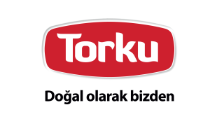 Torku Logo Analysis