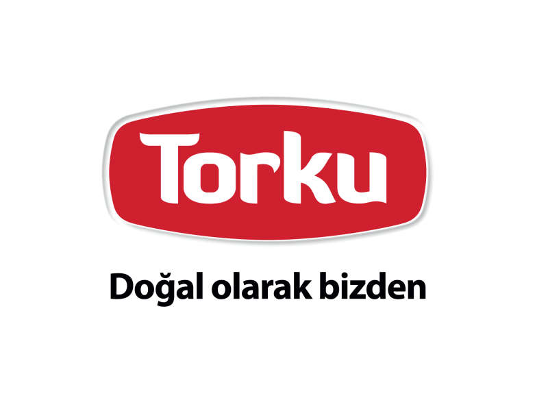 Torku Logo Analysis