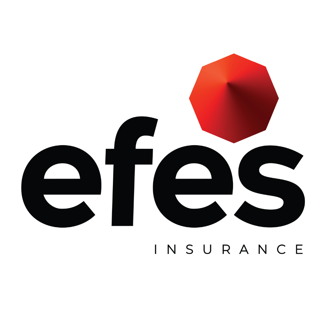 Efes.insurance logo