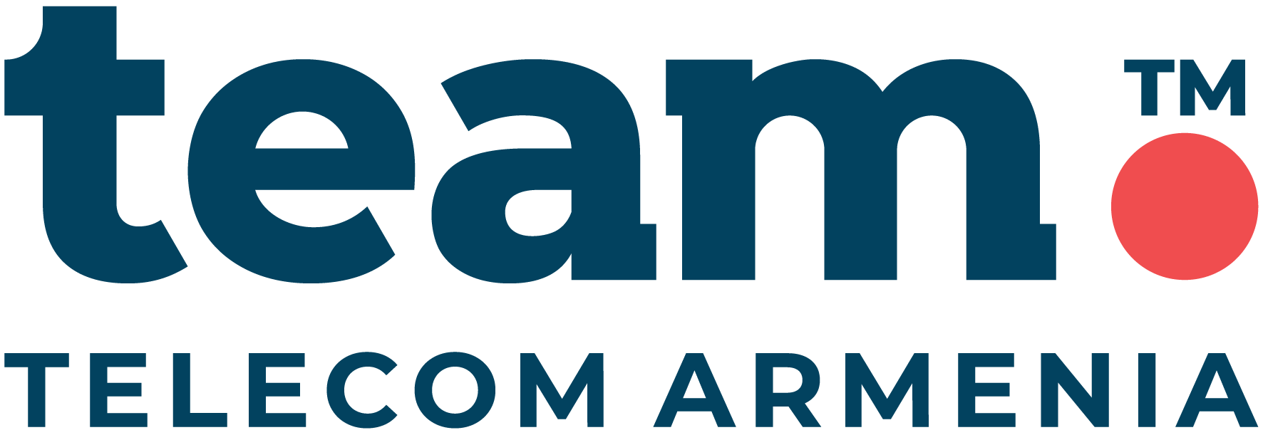 Team Telecom Armenia logo